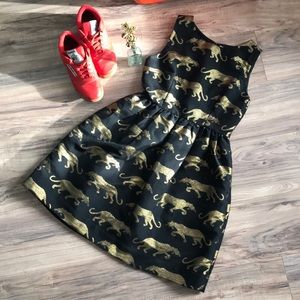 🐆 let’s go hunt for prey!